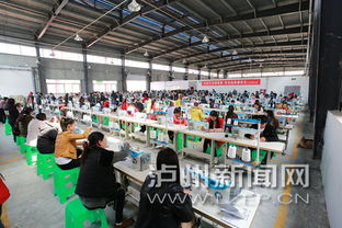 瀘州古藺玩具與紡織品 出海德國(guó)，帶動(dòng)就業(yè)新篇章